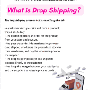 ⚡ “Dropshipping Success Guide – PLR Ebook with Full Resell Rights”