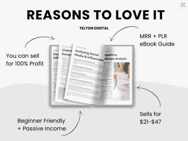Print-On-Demand Success Guide: DFY eBook for Earning Passive Income Automatically - Image 3